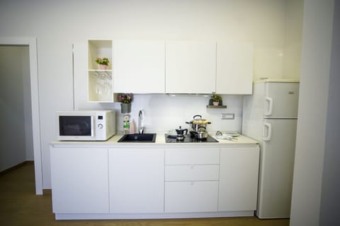 Fridge, microwave, stovetop, dishwasher