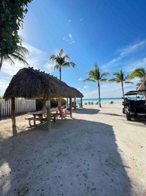 Sun loungers, beach towels