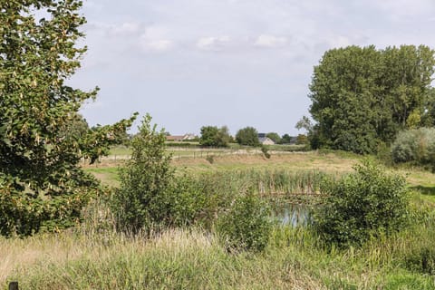 Beautiful domain with fenced pond