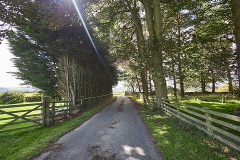 The Granary, Newbrough - Host & Stay