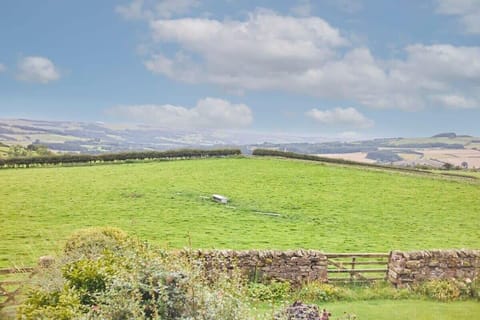 The Stable, Newbrough - Host & Stay