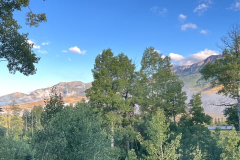 11.3-palisade-pine-meadows-summer-view2-resized