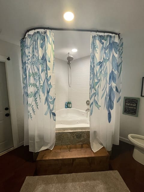 Shower, jetted tub, hair dryer, towels