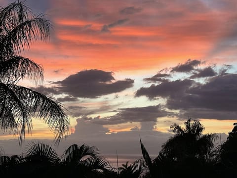 Beach/ocean view