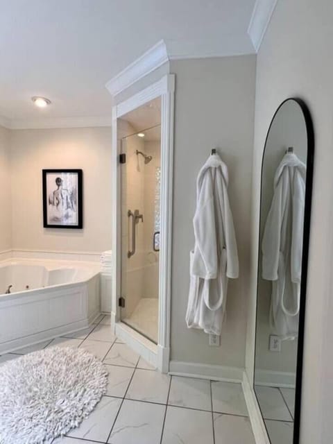 Combined shower/tub, jetted tub, hair dryer, towels