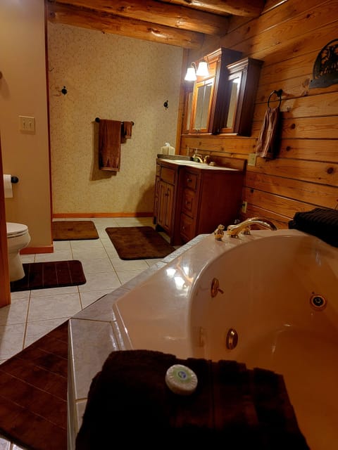 Combined shower/tub, jetted tub, hair dryer, towels