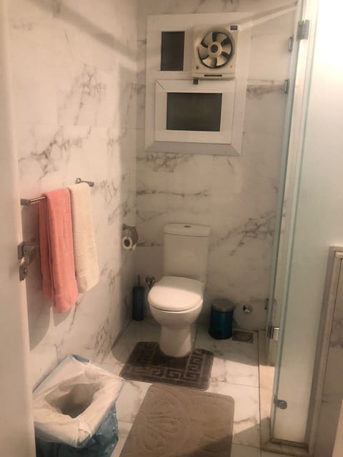 Shower, hair dryer, soap, toilet paper
