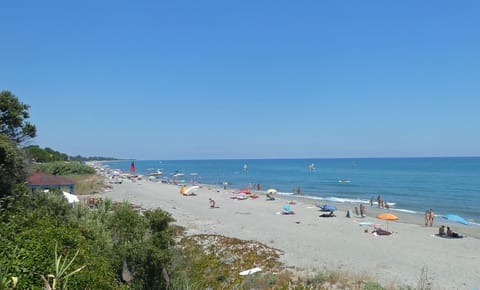 On the beach