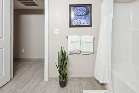 Bathtub, eco-friendly toiletries, hair dryer, towels