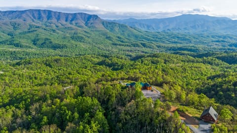 Vegetation, Land, Nature, Outdoors, Tree
