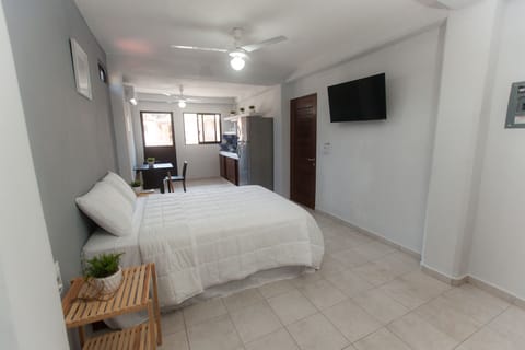 Studio with queen size bed, kitchen, smart tv