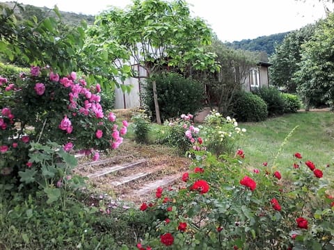 20180529_155637 - Copie