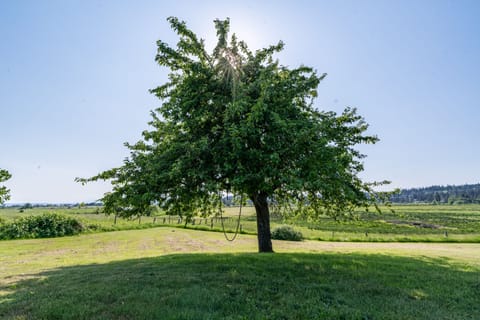 An artwork of beauty.