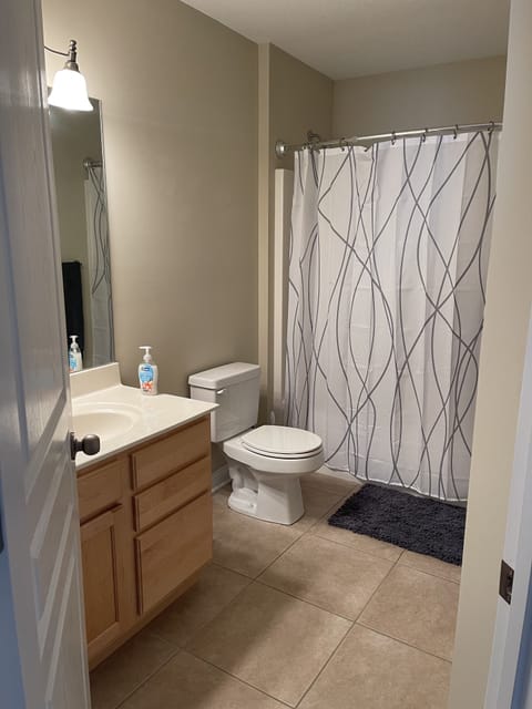 Combined shower/tub, jetted tub, hair dryer, towels