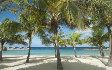 Sun loungers, beach towels