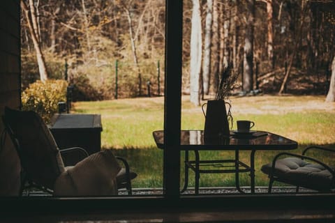 Terrace and garden area