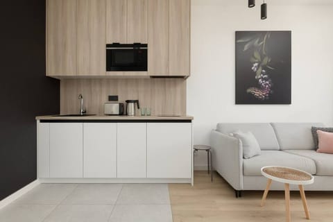 Kitchen area in the living room