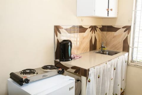 Fridge, microwave, stovetop, electric kettle