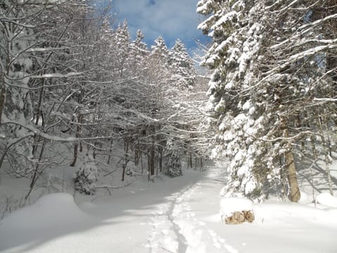 Snow and ski sports