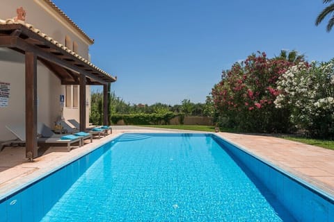 Dive into the pristine waters of our pool, where the sun-kissed surface reflects the clarity of the day, surrounded by vibrant greenery for a truly invigorating experience.
