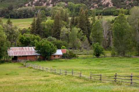 Bunkhouse and Barn, looking West.