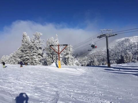 Snow and ski sports