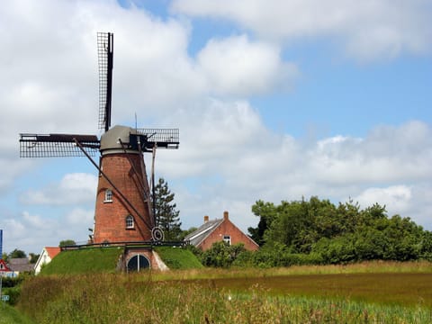 Immediate Surroundings [summer] (&lt;1 km)