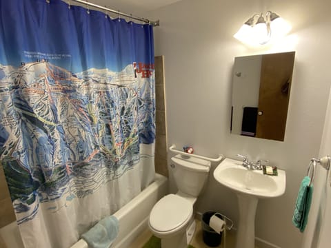 Combined shower/tub, hair dryer, towels, soap