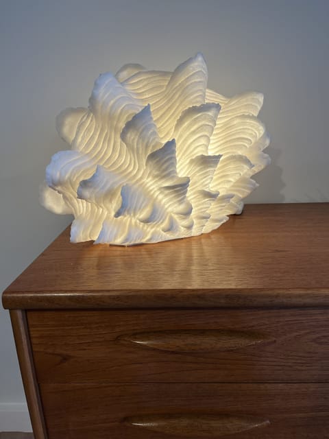 Stylishly decorated living area