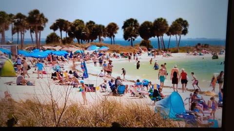 Sun loungers, beach towels