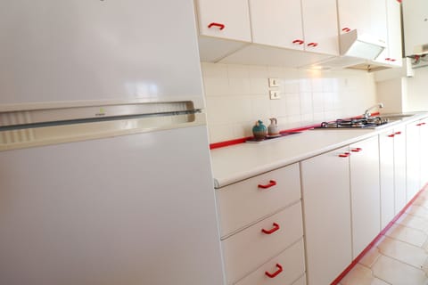 Fridge, microwave, oven, cookware/dishes/utensils