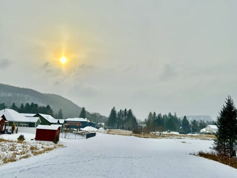 Beautiful view from the back patio