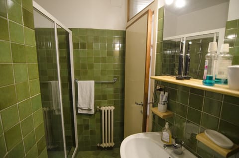 Combined shower/tub, hair dryer, bidet, towels