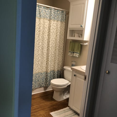 Combined shower/tub, jetted tub, hair dryer, towels