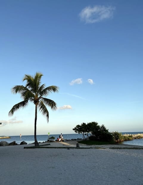 Sun loungers, beach towels