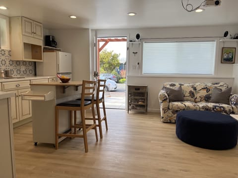 Kitchen & Bar Living Area