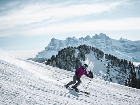 Snow and ski sports