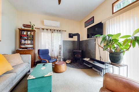 TV, fireplace, books, stereo