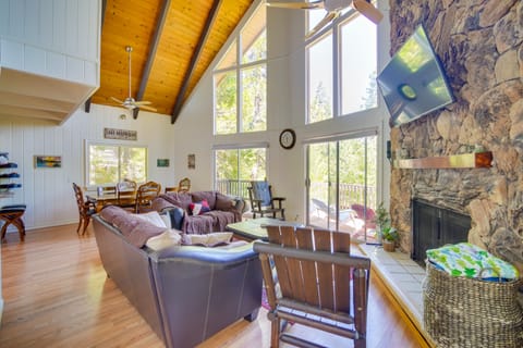 TV, fireplace, books