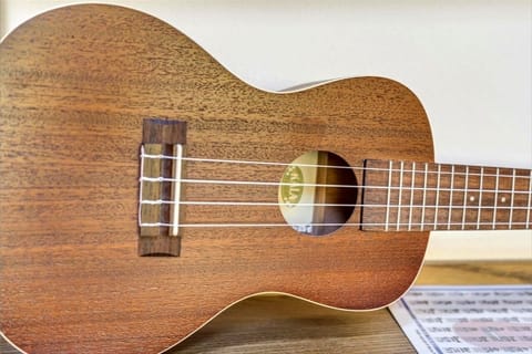 Vacation is music to your heart strums, sing along