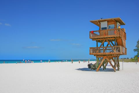 Sun loungers, beach towels