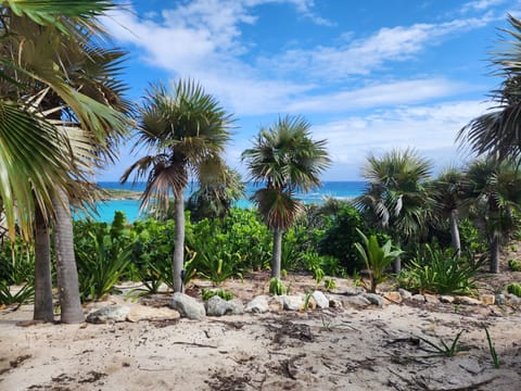 On the beach, sun loungers, beach towels