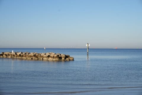 Sun loungers, beach towels