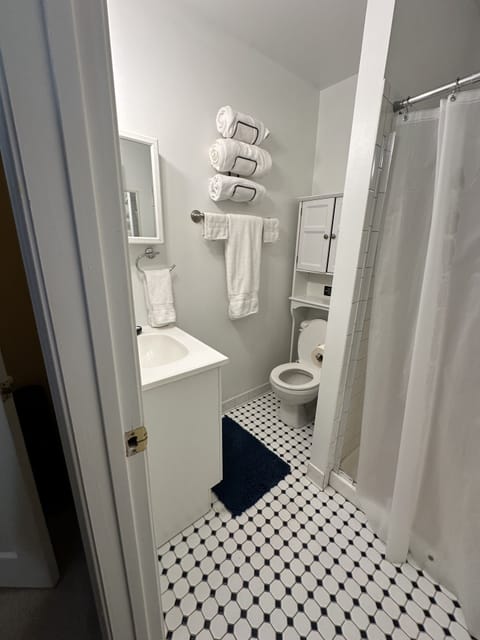 Combined shower/tub, hair dryer, towels, soap