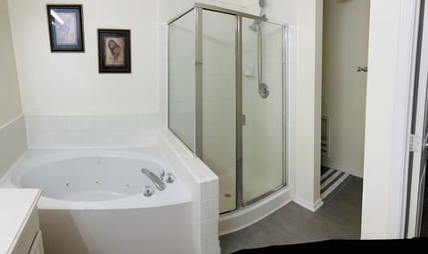 Combined shower/tub, jetted tub, hair dryer, towels