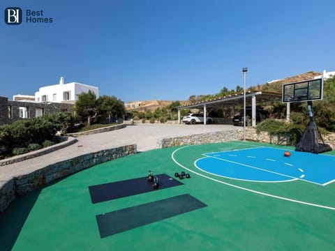 Sport court