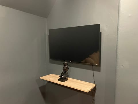 Television