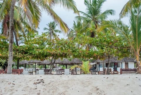 On the beach, sun loungers