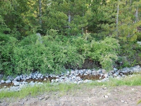 Creek between the two ponds on the property
