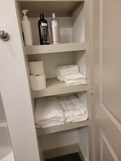 Hair dryer, towels, soap, toilet paper